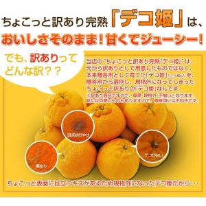 みかん 訳あり 早期予約 春蜜柑 デコポンと同...の詳細画像1