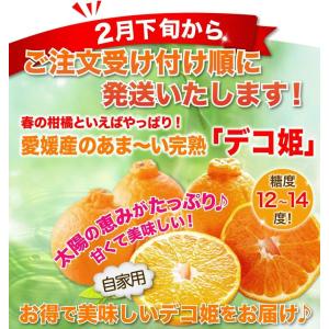 みかん 訳あり 早期予約 春蜜柑 デコポンと同...の詳細画像2