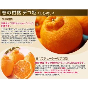 みかん 訳あり 早期予約 春蜜柑 デコポンと同...の詳細画像3