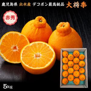 順次発送 大将季 デコポン 不知火 ギフト 赤秀 贈答用 5kg 順次発送 送料無料 Y常