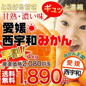 訳あり極甘♪愛媛 西宇和みかん！≪破格☆早割特価≫★送料無料★美味しさにハズレ無し【ちょこっと訳あり愛媛フレッシュ温州みかん４kg×１箱】