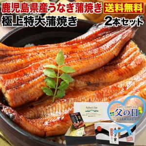 ポイント10倍 父の日 プレゼント ギフト うなぎ  食べ物 特大蒲焼き2本セット 約200g×2 ギフトBOX特典付き うなぎ 送料無料 60代 70代 クール