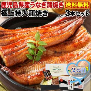 父の日 うなぎ グルメ 食べ物 早割 蒲焼き 国産 鹿児島産...