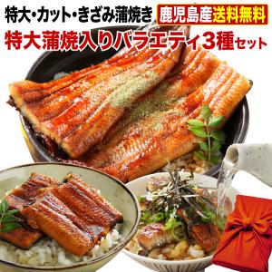 ポイント10倍 父の日 プレゼント ギフト うなぎ  食べ物 国産 鹿児島産 ブランド鰻 特大・カット・きざみ蒲焼き 3種セット 送料無料 60代 クール｜kuishinboucom