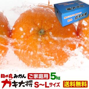 みかん 5kg 送料無料 ポイント10倍 訳あり JAにしうわ 日の丸共選 愛媛県産 日本農業大賞受賞 日の丸みかん ガキ大将 ちょっぴり傷あり ご家庭用S〜L J常