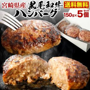 ギフト ハンバーグ 黒毛和牛100% 150g×6食セット 宮崎県産 送料無料 真空パック 小分け 贈答品 クール｜くいしんぼうドットコム