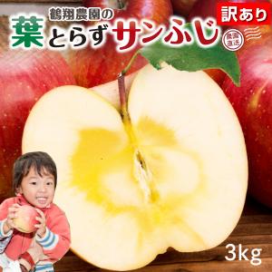 早期予約 12月初旬頃発送 りんご 青森 葉とらず サンふじ ご家庭用 約3kg(8〜14玉) ちょっぴり 訳あり 送料無料 産直 JGAP認証リンゴ グルメ Y常