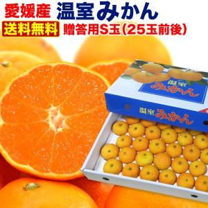 ポイント5倍 ギフト フルーツ ハウスみかん 愛媛 JAえひめ中央限定 約2.5kg(25玉) 産地直送 極甘 ギフト箱 夏のデザート ひんやり 蜜柑 Y蔵