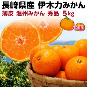 ポイント5倍 みかん 伊木力 長崎 早生 温州ミカン 秀品 小玉 S・2S ５kg（2.5kg×2箱） 送料無料 産直 甘い蜜柑 贈答用 グルメ 内祝 お歳暮 Y常