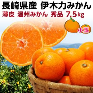 ギフト みかん 伊木力 長崎 早生 温州ミカン 秀品 小玉 S・2S 7.5kg（2.5kg×3箱） 送料無料 産直 甘い蜜柑 贈答用 グルメ 内祝 お歳暮 Y常