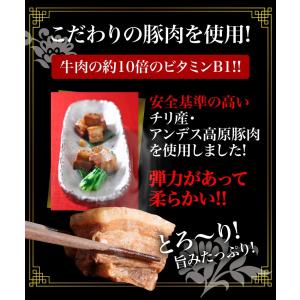 豚角煮 100g×2 割烹 長崎 中華 お取り...の詳細画像5