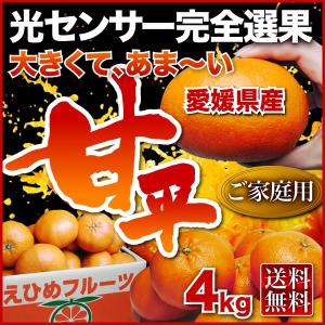 ≪愛媛県産『甘平 かんぺい』4kg≫愛媛極旨みかん！送料無料♪光センサー完全選果！ご家庭用ちょっぴり訳あり