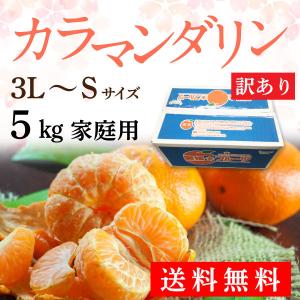 カラマンダリン 春みかん 家庭用 愛媛 訳あり みかん 中島...