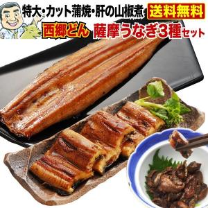 うなぎ 国産 鹿児島産 ブランド鰻 特大 西郷どん 3種蒲焼セット 送料無料 グルメ 国産 海鮮 誕生日 プレゼント お祝い 内祝い 高級 魚介 クール