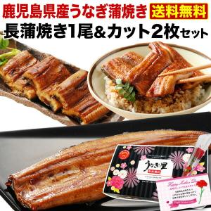 ポイント10倍 母の日 プレゼント 母の日ギフト グルメ うなぎ 鹿児島産ブランド鰻 極上蒲焼き 長蒲焼き1本＆カット蒲焼き2枚  魚介類 クール｜kuishinboucom