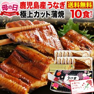 ポイント10倍 母の日 プレゼント グルメ うなぎ  鹿児島産 ブランド鰻 カット蒲焼き10食  ギフトBOX 魚介類 クール｜kuishinboucom