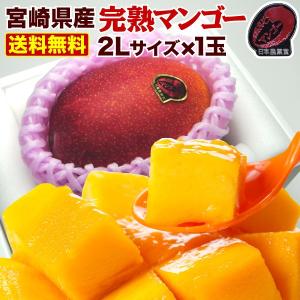 ポイント5倍 お中元 ギフト プレゼント 果物 フルーツ マンゴー 宮崎