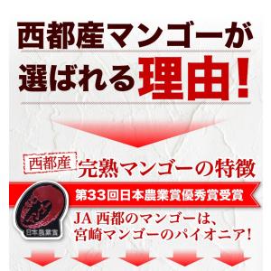 ポイント5倍 ギフト 果物 フルーツ マンゴー...の詳細画像3