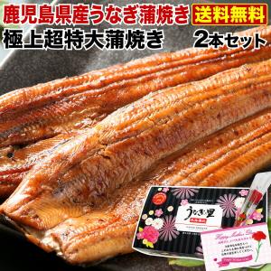 母の日 遅れてごめんね ギフト うなぎ プレゼント 鹿児島産...