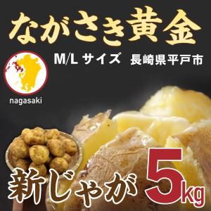 ポイント10倍 新じゃが じゃがいも 国産 ながさき黄金