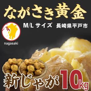 ポイント10倍 新じゃが じゃがいも 国産 ながさき黄金 長崎平戸 10kg M/Lサイズ 産直 送料無料 S常