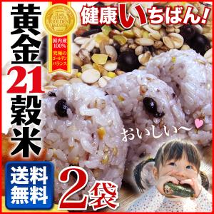 雑穀米  もち麦入り 21雑穀米 純国産 黄金21穀米250g×2袋