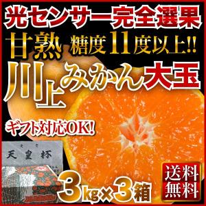 お歳暮 ギフト みかん 愛媛 温州 極甘グレード厳選 JAにしうわ 川上共選 天皇杯受賞 愛媛県産 川上みかん 大玉 2Lサイズ×9kg  グルメ J常