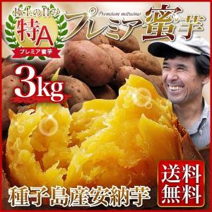 ギフト 安納芋 さつまいも  鹿児島 種子島産 産地直送 送料無料 プレミア蜜芋3kg  贈答用  グルメ S常