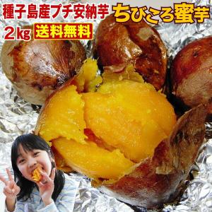 安納芋(あんのういも・ 安納いも )種子島産 産地直送 野菜...