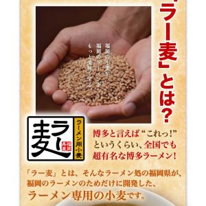 ご贈答 ギフト ラーメン 博多ラー麦 極み ギ...の詳細画像4