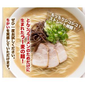 ご贈答 ギフト ラーメン 博多ラー麦 極み ギ...の詳細画像5