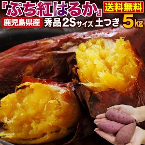 鹿児島県産 ぷち紅はるか 5kg サツマイモ 生芋 小さいサイズ