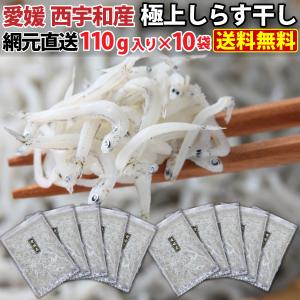 しらす しらす干し 1.1kg ギフト 網元直送 愛媛県産 極上しらす干し110g×10袋