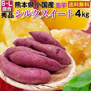 ギフト さつまいも シルクスイート 秀品 生芋 S ー Lサイズ混合 100g〜350g 熊本県小国町 産地直送 4kg×1箱 送料無料 Y常