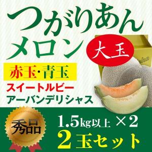 メロン お中元 ギフト つがりあんメロン 青森産 秀品 1.5kg×2玉 スイートルビー&アーバンデリシャス ２L ギフト Y常｜kuishinboucom