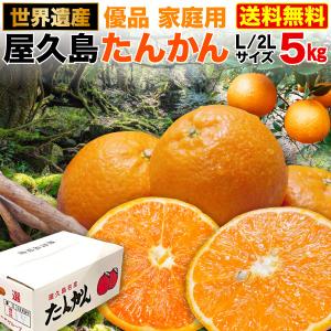 予約商品 たんかん 柑橘 屋久島 優品 5kg サイズLまたは2L(約30玉〜36玉)ご家庭用 糖度平均11〜13度 産地直送 極旨 冬の味覚 フルーツ 果物 送料無料 Y常