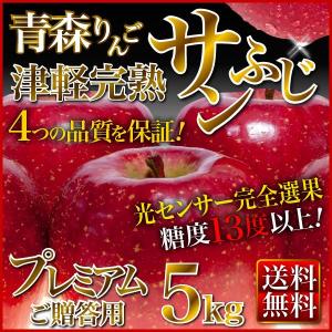 順次発送 ギフト りんご サンふじりんご 青森県津軽産 完熟プレミアム