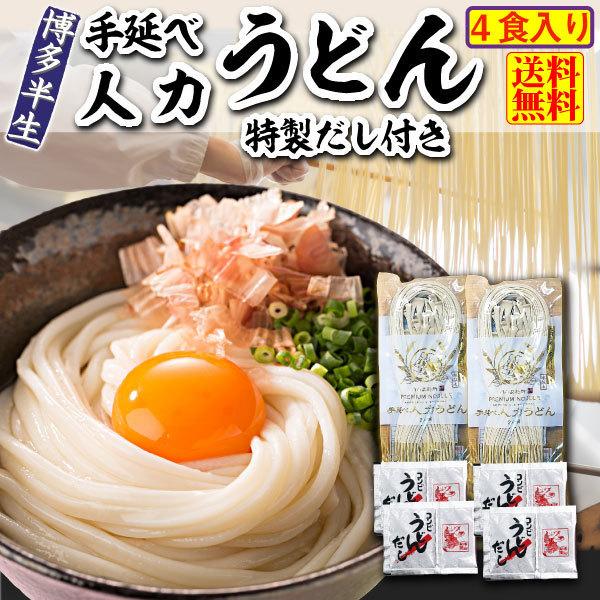 うどん 送料無料 半生 手延べ人力うどん 2袋（4食入り） 国産小麦100％ 半生だからもっちり つ...