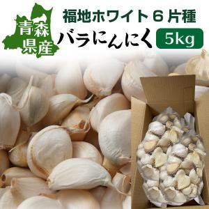 順次発送 青森 にんにく バラ 訳あり 新物 国産 ニンニク 福地ホワイト 