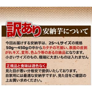 安納芋 訳あり 種子島産 安納いも 蜜芋 S〜...の詳細画像4