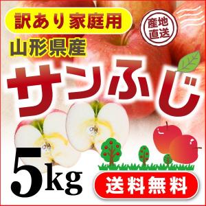 予約商品 12月下旬頃発送 りんご 訳あり サンふじ 山形県産  サイズ不ぞろい 家庭用５kg 送料無料 果物 フルーツ グルメ Y常