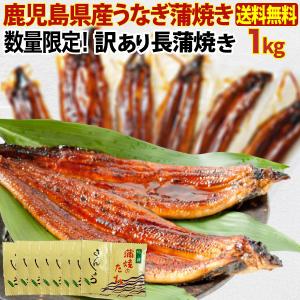うなぎ 鰻 ウナギ 蒲焼き 国産 サイズ不揃い訳あり 鹿児島...