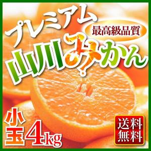 福岡名産◆極甘山川みかん（小玉）大特価！超早割大奉仕！★送料無料◆【福岡産★山川プレミアム温州みかん４kg】甘味凝縮かわいい小玉♪