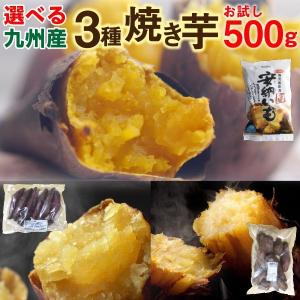 選べる焼き芋 500g×1袋 冷やし焼き芋 安納芋 シルクスイート 紅はるか 鹿児島県産 送料無料 クール