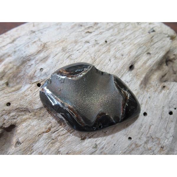 アンモナイト パイライト ルース ロシア産 | 天然石専門店【鬮石】