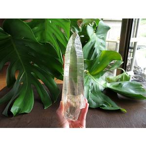 レムリアンシードクリスタル ゴイアス州産 水晶 原石 | 天然石専門店 【鬮石】