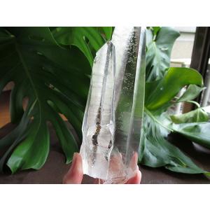 レムリアンシードクリスタル ゴイアス州産 水晶...の詳細画像4