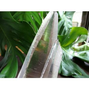 レムリアンシードクリスタル ゴイアス州産 水晶...の詳細画像5