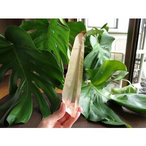 レムリアンシードクリスタル ゴイアス州産 水晶...の詳細画像1