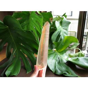 レムリアンシードクリスタル ゴイアス州産 水晶...の詳細画像3